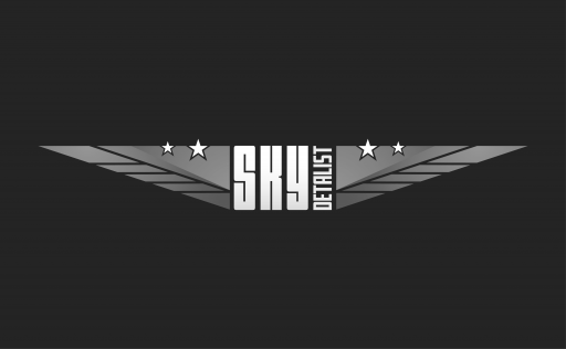 Logo Sky Detalist