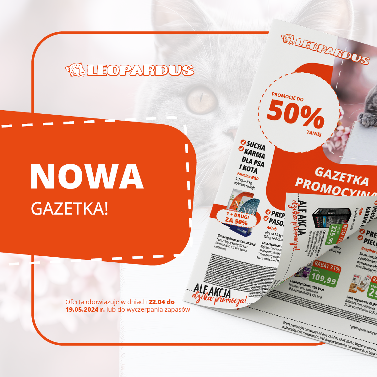 Sprawdź promocje w naszej najnowszej gazetce! ??