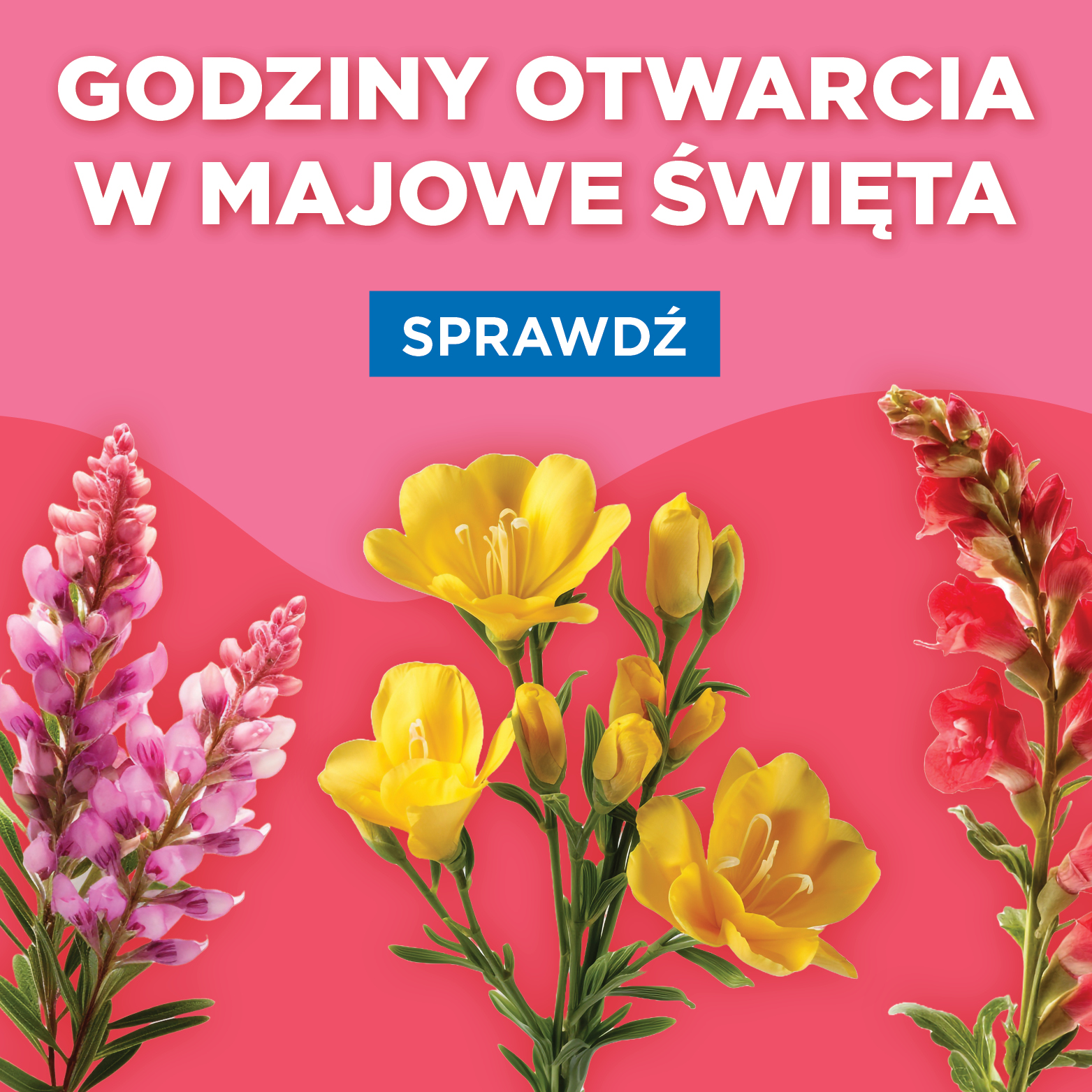 Świąteczne godziny otwarcia w maju