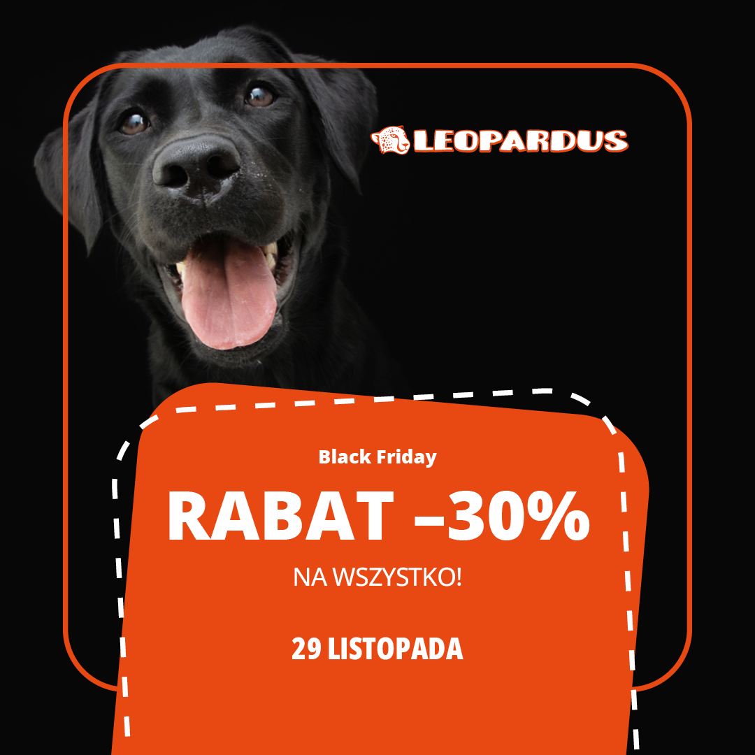 Black Friday w Leopardus!