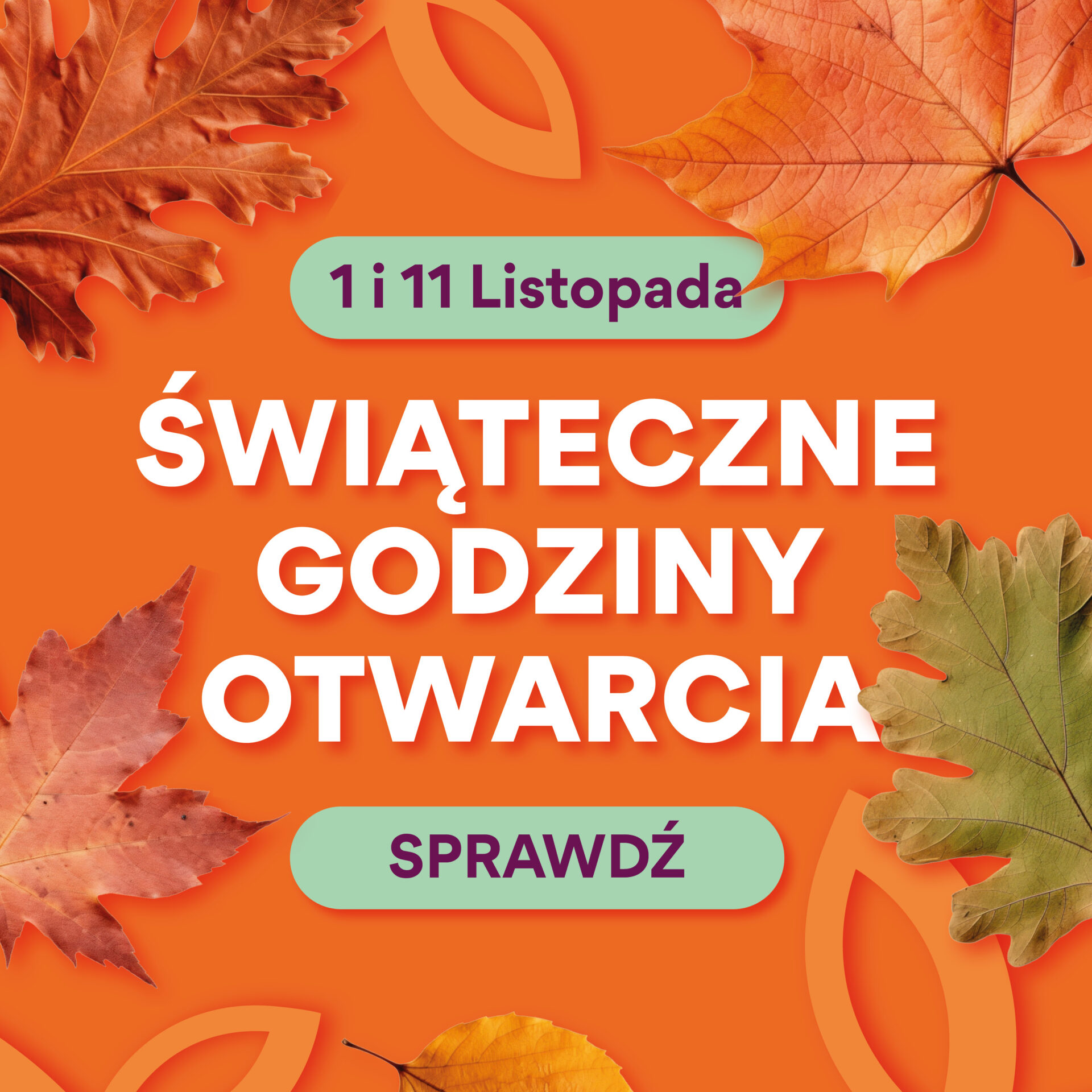 1 i 11 listopada – godziny otwarcia