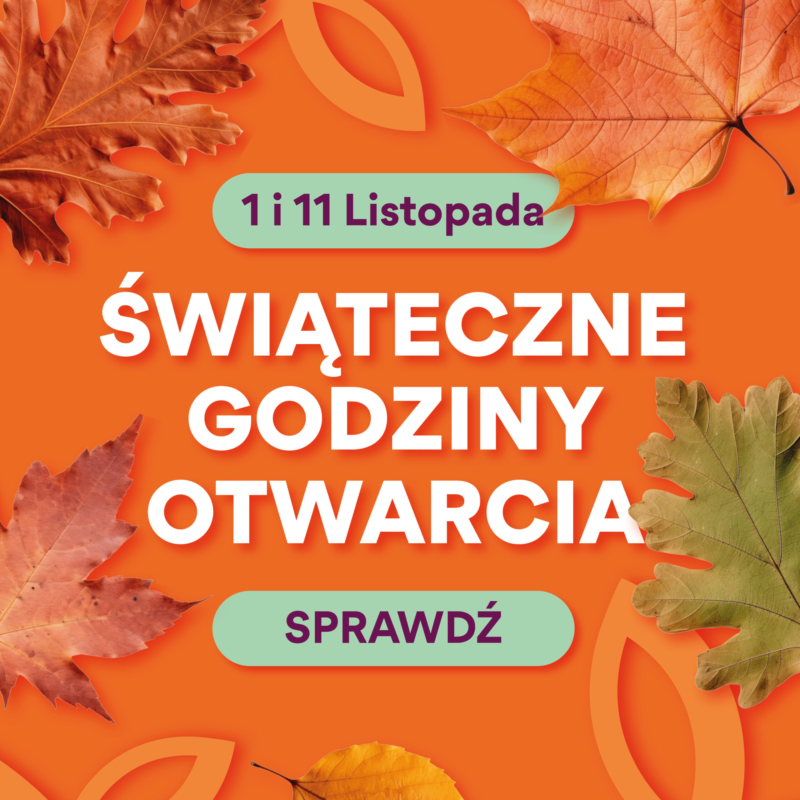 1 i 11 listopada – godziny otwarcia