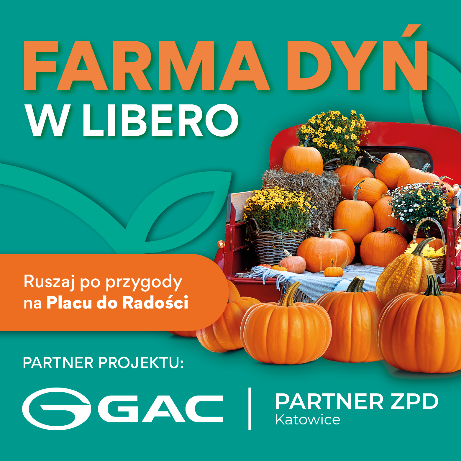 Farma Dyń na Placu do Radości
