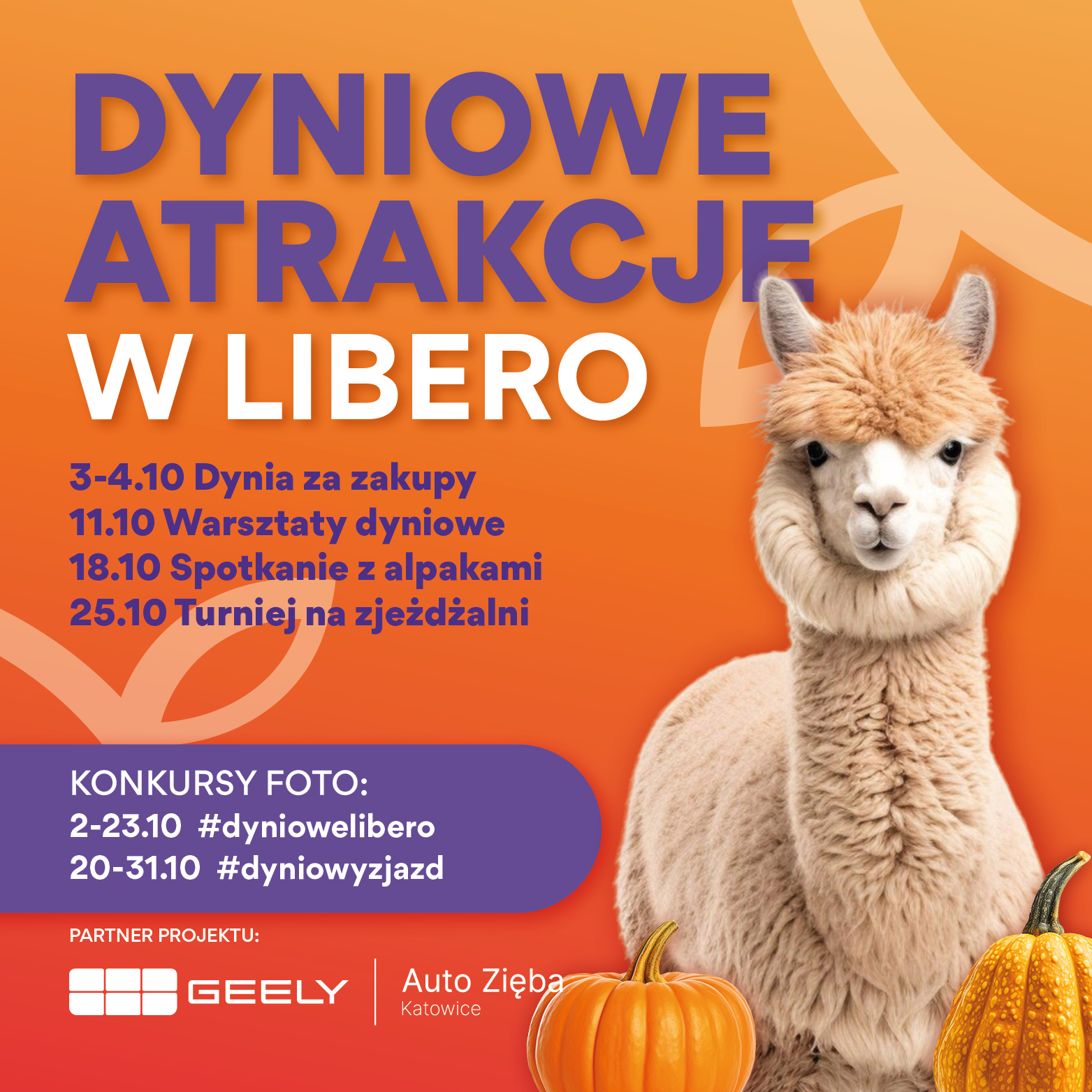 Dyniowe atrakcje w Libero!